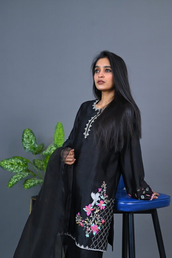 Black Color - Image 3